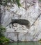 Dying lion monument German: Lowendenkmal carved on the face of stone cliff with the pond foreground in Luzern, Switzerland