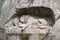 Dying lion monument in Lucerne