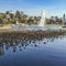 Dying lotus plant reflection at Echo Park lake.