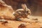 Dynamic Action Shot of a Young Rabbit Speeding Across a Dusty Trail in Natural Habitat