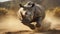 Dynamic Asian Rhino: A Powerful Portrait In Solarization Effect