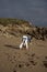 Dynamic Beach Workout: A Taekwondo-Clad Woman Displaying Acrobatics and Strength by the Shore