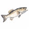 Dynamic Brushwork Illustration Of A Large Bass Fish