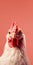 Dynamic Chicken: Captivating Visual Storytelling On Mobile Phone Lock Screen