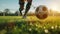 Dynamic close-up of a soccer ball being kicked on a grassy field, with dirt flying and sunlight in the background