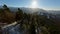 Dynamic dive mountain slope winter panorama sunny valley forest fir tree