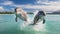 Dynamic Dolphins: Playful Jumping in Tropical Waters