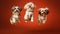 Dynamic Duo 3 Agile Shih Tzu Dogs Catching Treats in Isolated Red Background. Generative AI