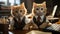 Dynamic Duo: Two Adorable Ginger Kittens in Business Attire Conquering the Corporate World AI Generated