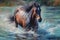 Dynamic Elegance: Galloping Horse on Water in the Style of [Artist Art Movement] (AI Generated)