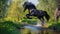 Dynamic Equine Elegance: Majestic Black Stallion Soaring Over a Creek