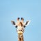 Dynamic And Exaggerated Giraffe: A Close Shot In Minimalist Style