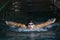 dynamic and fit swimmer in cap breathing performing the butterfly stroke