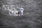 Dynamic and fit swimmer performing the butterfly stroke in dark ocean water