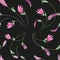 Dynamic floral background on a black background. Pink and lilac flowers.