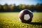 Dynamic football shot Closeup on green field with ample copy