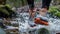 Dynamic image of a person running in orange and gray trail shoes, creating a splash as they cross a water stream in a lush forest