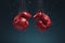 Dynamic Impact Pair of red boxing gloves