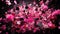 Dynamic Pink Confetti Burst. Vibrant pink confetti explosion with dynamic motion