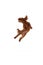 Dynamic portrait of active playful red-brown Poodle dog jumping and flying over white background. Concept of fashion