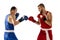 Dynamic portrait of two professional boxer in sports uniform boxing isolated on white background. Concept of sport