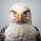 Dynamic Seagull Close-up: Exaggerated Facial Expressions In Mike Campau Style