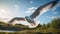 Dynamic Seagull In Flight: Terragen-inspired Nikon D850 Photography