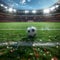 Dynamic soccer stadium scene with ball ready for intense game