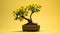 Dynamic Sunflower Bonsai Tree: Minimalist Scottish Ale Desktop Wallpaper