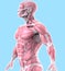 Dynamic Tension: A Study of Human Musculature in Motion