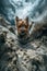 Dynamic Underwater View of Small Dog Swimming in Clear Blue Ocean with Sunlight Reflection and Sandy Bottom