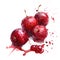 A dynamic watercolor artwork of cranberries with vibrant splashes