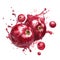 A dynamic watercolor artwork of cranberries with vibrant splashes