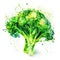 A dynamic watercolor of broccoli with lively splatters