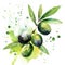 A dynamic watercolor painting of an olive branch, with vibrant green olives