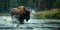 Dynamic Wildlife Scene: European Bison Crossing River, Splashing Water. Concept Wildlife