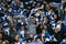 Dynamo fans waving scarfs, UEFA Europa League Round of 16 second leg match between Dynamo and Everton