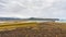 Dyrholaey peninsula and volcanic beach in Iceland