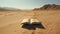 A Dystopian Journey: The Open Book In The Desert