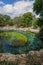Dzibilchaltun, Yucatan, Mexico: People swimming in the Cenote Xlacah
