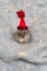 Dzungarian little hamster in a red Christmas hat on a gray knitted blanket, decorated with New Year`s garlands.
