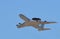 E-3 Sentry (AWACS)