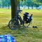 E-bike leaning against a tree on the lawn on a large lawn during a break on the bike tour