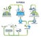 E-fuels production with hydrogen synthesis for green fuel outline diagram