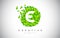 E Green Leaf Logo Design Eco Logo With Multiple Leafs Blowing in the Wind Icon Vector