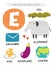 E letter objects and animals including elephant, eel, egg, eggplant, envelope, earth. Learn english alphabet, letters