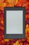 An e-reader on fall leaves for your autumn reading