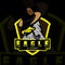 An e sports logo featuring an eagle