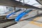 E7/W7 Series bullet (High-speed or Shinkansen) trains.