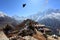 Eagle above the village in the mountains of Himalayas.